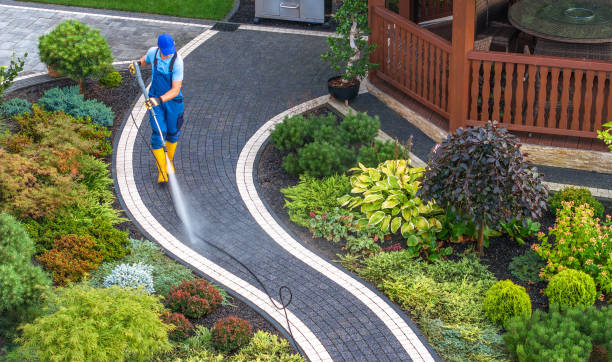 Best Pressure Washing Estimates  in Minor, AL