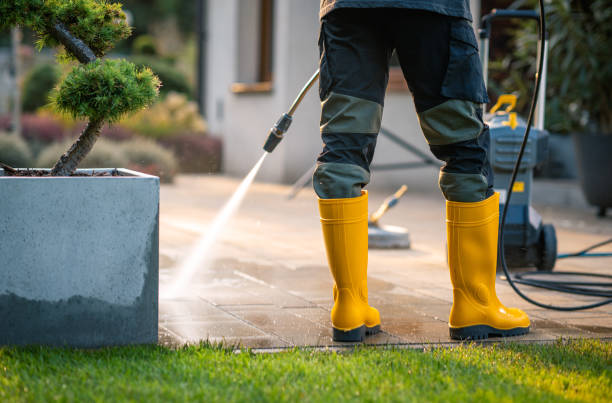 Best Roof Pressure Washing  in Minor, AL